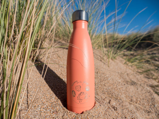 Gourde Qwetch : trésors de plage